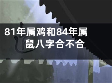 81年属鸡和84年属鼠八字合不合