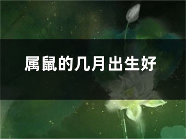 属鼠的几月出生好