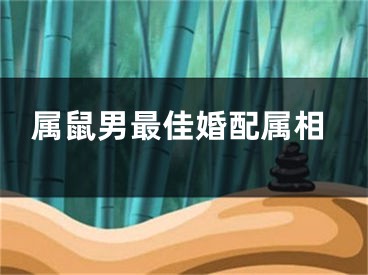 属鼠男最佳婚配属相