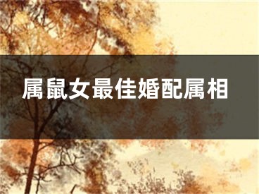 属鼠女最佳婚配属相