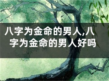 八字为金命的男人,八字为金命的男人好吗