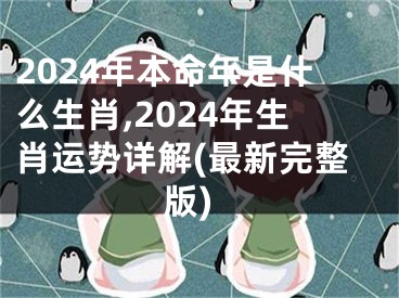 2024年本命年是什么生肖,2024年生肖运势详解(最新完整版)