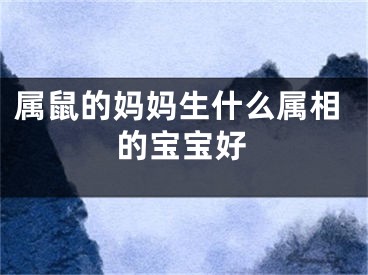 属鼠的妈妈生什么属相的宝宝好