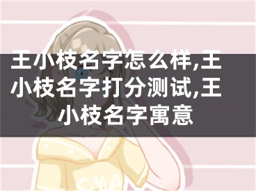 王小枝名字怎么样,王小枝名字打分测试,王小枝名字寓意