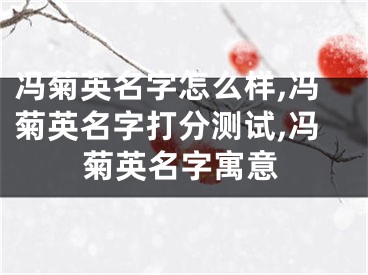 冯菊英名字怎么样,冯菊英名字打分测试,冯菊英名字寓意