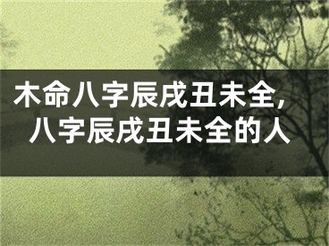 木命八字辰戌丑未全,八字辰戌丑未全的人