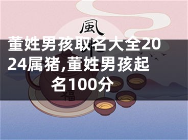 董姓男孩取名大全2024属猪,董姓男孩起名100分