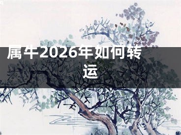 属牛2026年如何转运
