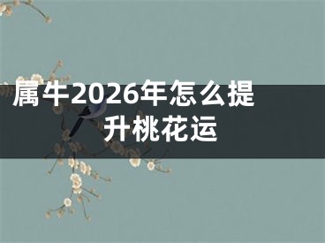 属牛2026年怎么提升桃花运