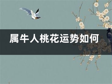 属牛人桃花运势如何