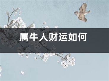 属牛人财运如何