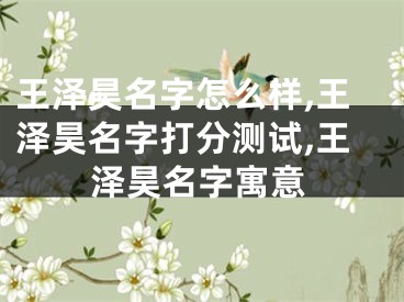 王泽昊名字怎么样,王泽昊名字打分测试,王泽昊名字寓意
