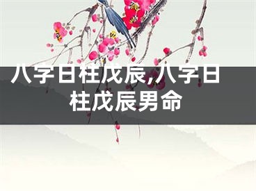 八字日柱戊辰,八字日柱戊辰男命
