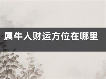 属牛人财运方位在哪里