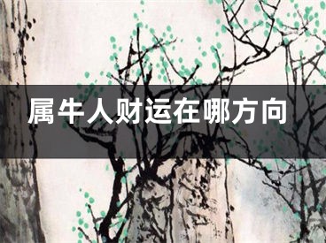 属牛人财运在哪方向