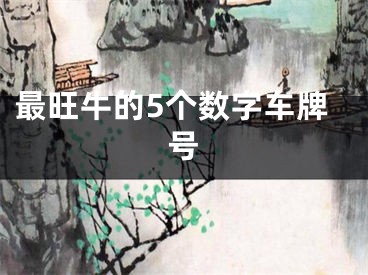 最旺牛的5个数字车牌号