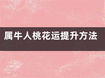 属牛人桃花运提升方法