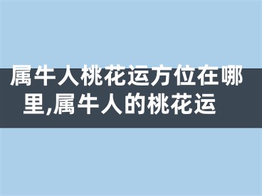 属牛人桃花运方位在哪里,属牛人的桃花运