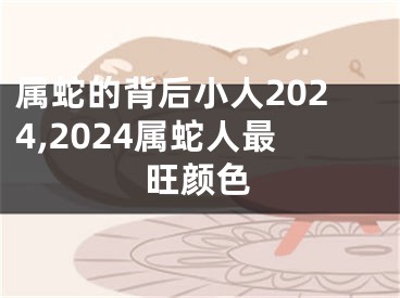 属蛇的背后小人2024,2024属蛇人最旺颜色