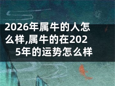 2026年属牛的人怎么样,属牛的在2025年的运势怎么样