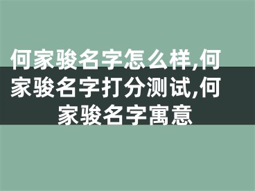何家骏名字怎么样,何家骏名字打分测试,何家骏名字寓意