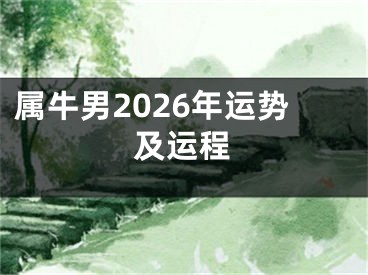 属牛男2026年运势及运程