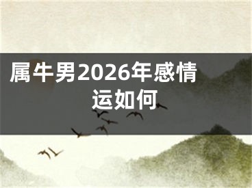 属牛男2026年感情运如何