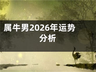 属牛男2026年运势分析
