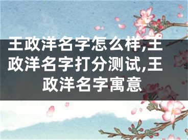 王政洋名字怎么样,王政洋名字打分测试,王政洋名字寓意