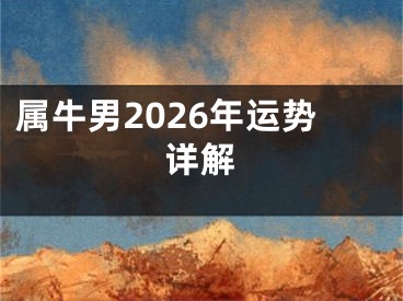 属牛男2026年运势详解