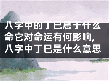 八字中的丁巳属于什么命它对命运有何影响,八字中丁巳是什么意思