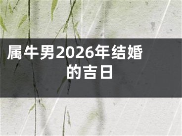 属牛男2026年结婚的吉日