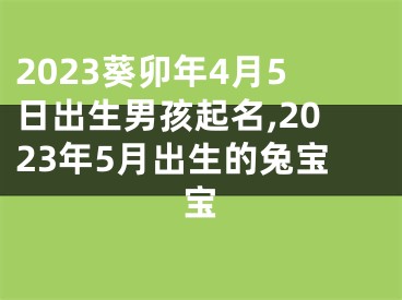 2023葵卯年4月5日出生男孩起名,2023年5月出生的兔宝宝