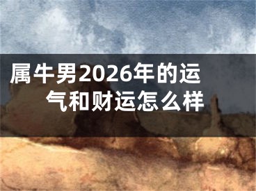 属牛男2026年的运气和财运怎么样