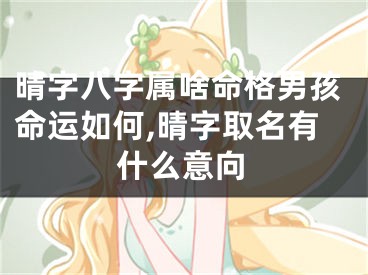 晴字八字属啥命格男孩命运如何,晴字取名有什么意向