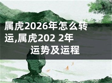 属虎2026年怎么转运,属虎202 2年运势及运程