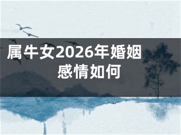 属牛女2026年婚姻感情如何
