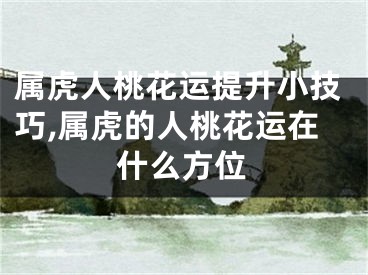 属虎人桃花运提升小技巧,属虎的人桃花运在什么方位