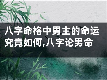 八字命格中男主的命运究竟如何,八字论男命