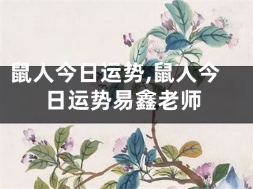 鼠人今日运势,鼠人今日运势易鑫老师