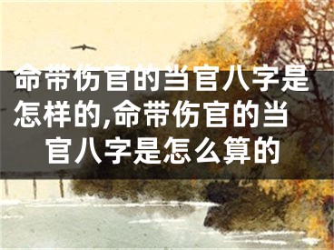 命带伤官的当官八字是怎样的,命带伤官的当官八字是怎么算的