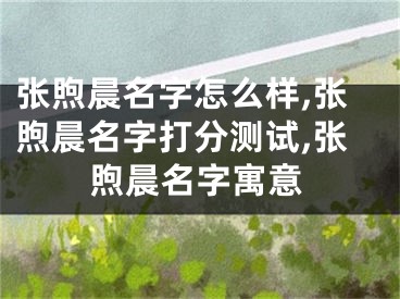 张煦晨名字怎么样,张煦晨名字打分测试,张煦晨名字寓意