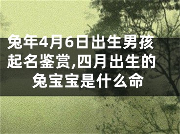 兔年4月6日出生男孩起名鉴赏,四月出生的兔宝宝是什么命