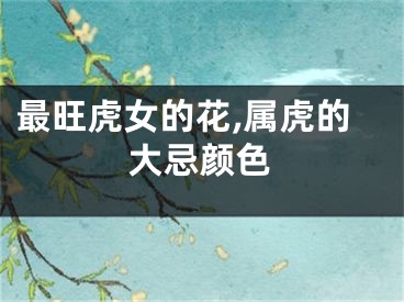 最旺虎女的花,属虎的大忌颜色