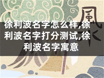 徐利波名字怎么样,徐利波名字打分测试,徐利波名字寓意