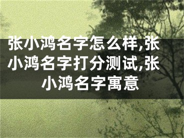 张小鸿名字怎么样,张小鸿名字打分测试,张小鸿名字寓意