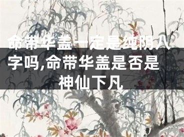 命带华盖一定是纯阴八字吗,命带华盖是否是神仙下凡