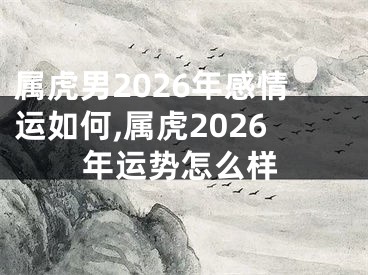 属虎男2026年感情运如何,属虎2026年运势怎么样