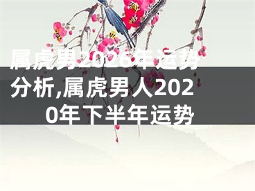 属虎男2026年运势分析,属虎男人2020年下半年运势