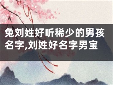 兔刘姓好听稀少的男孩名字,刘姓好名字男宝